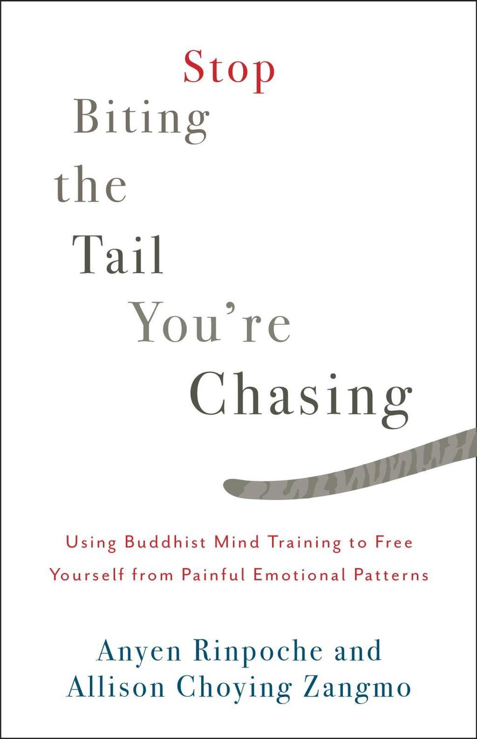 Cover: 9781611805710 | Stop Biting the Tail You're Chasing: Using Buddhist Mind Training...