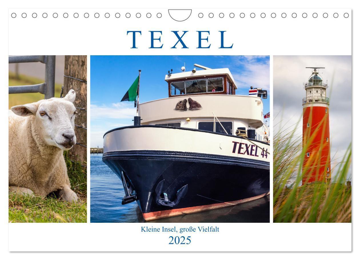 Cover: 9783435106769 | Texel - Kleine Insel, große Vielfalt (Wandkalender 2025 DIN A4...