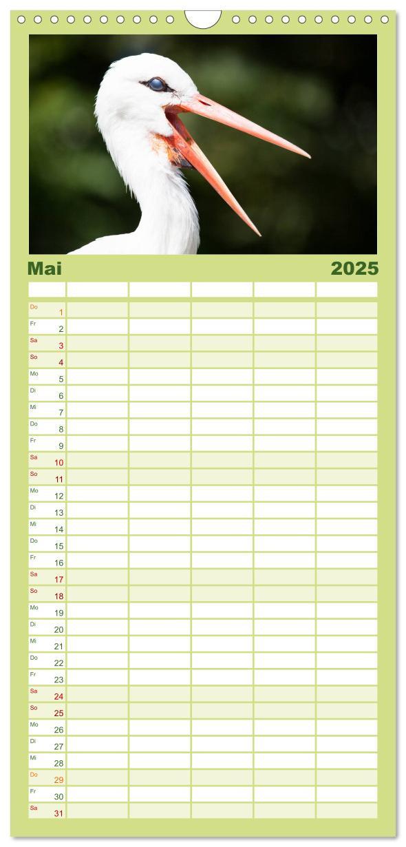 Bild: 9783457121399 | Familienplaner 2025 - Tierkalender 2025 mit 5 Spalten...