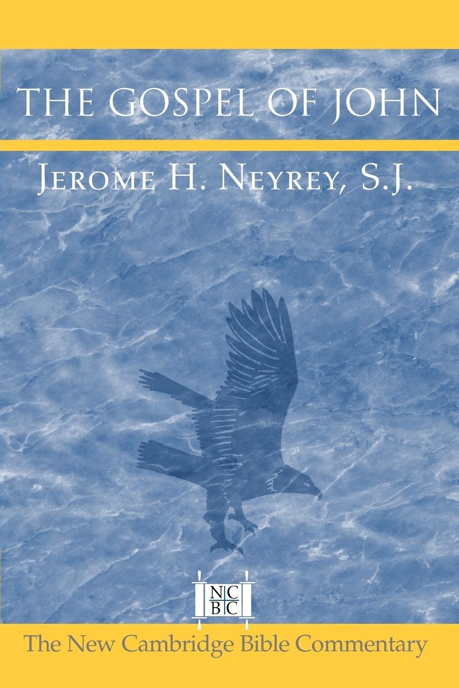 Cover: 9780521535212 | The Gospel of John | Jerome H. Neyrey | Taschenbuch | Paperback | 2006