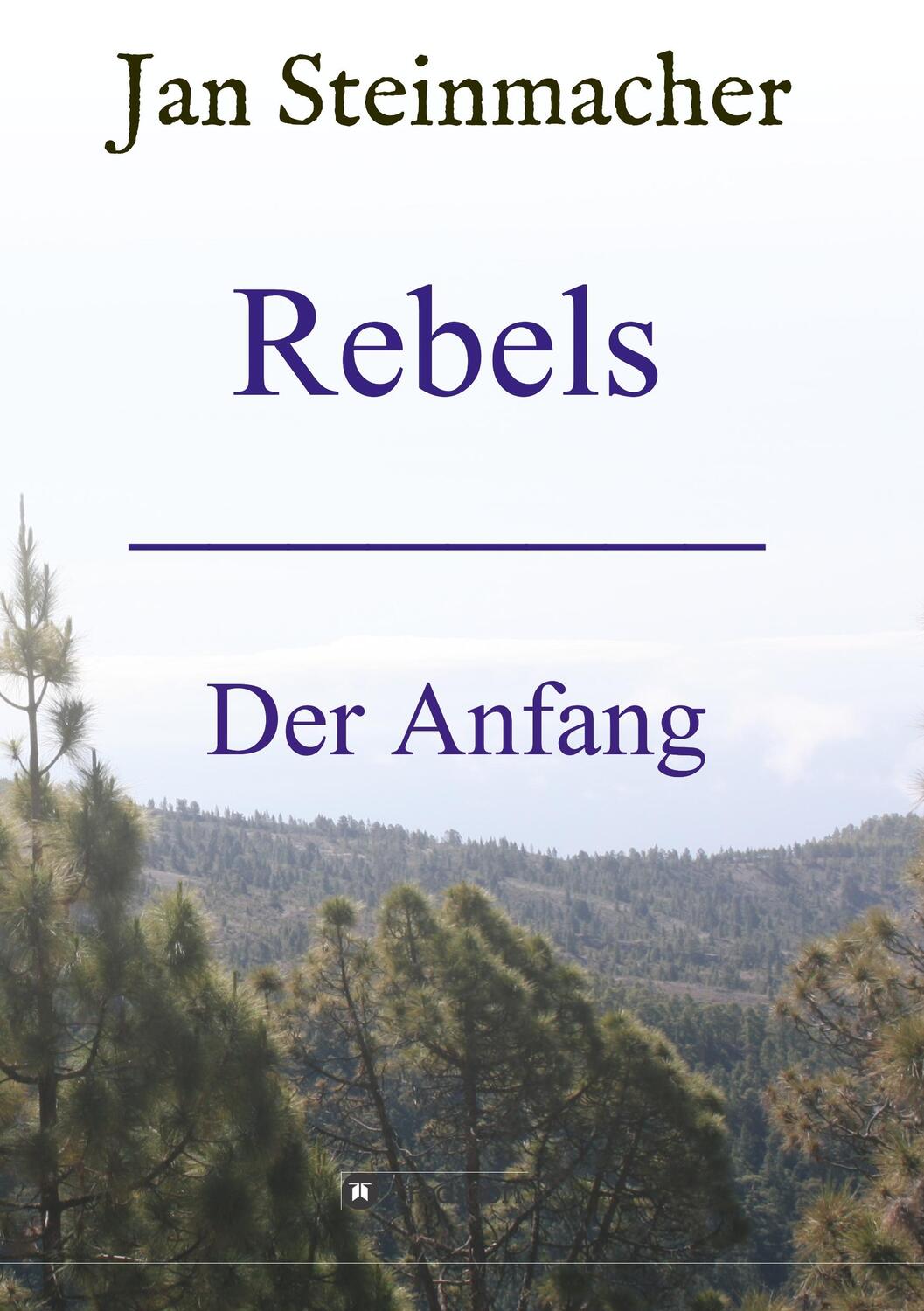 Cover: 9783734591082 | Rebels | Der Anfang | Jan Steinmacher | Taschenbuch | Paperback | 2017