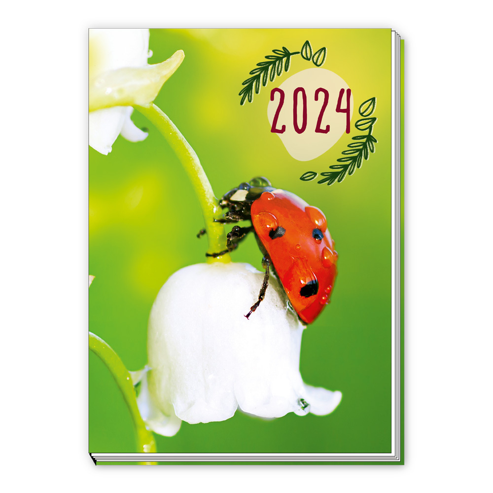 Cover: 4251901505057 | Trötsch Taschenkalender A7 Marienkäfer 2024 | Mini-Terminkalender