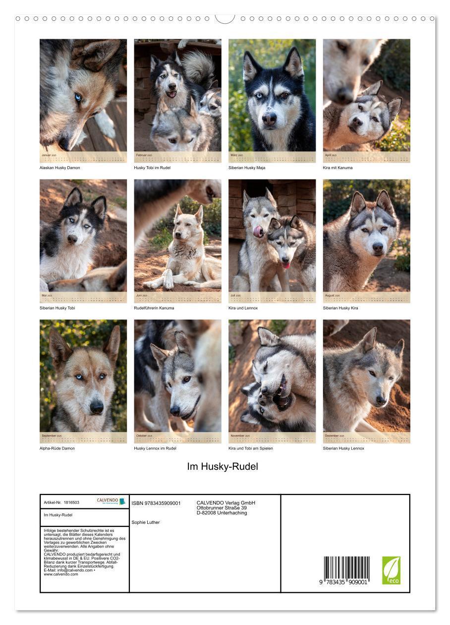 Bild: 9783435909001 | Im Husky-Rudel (hochwertiger Premium Wandkalender 2025 DIN A2...