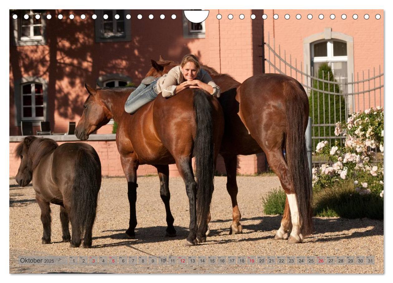 Bild: 9783435594160 | Natural Horsemanship - Partnerschaft mit Pferden (Wandkalender 2025...