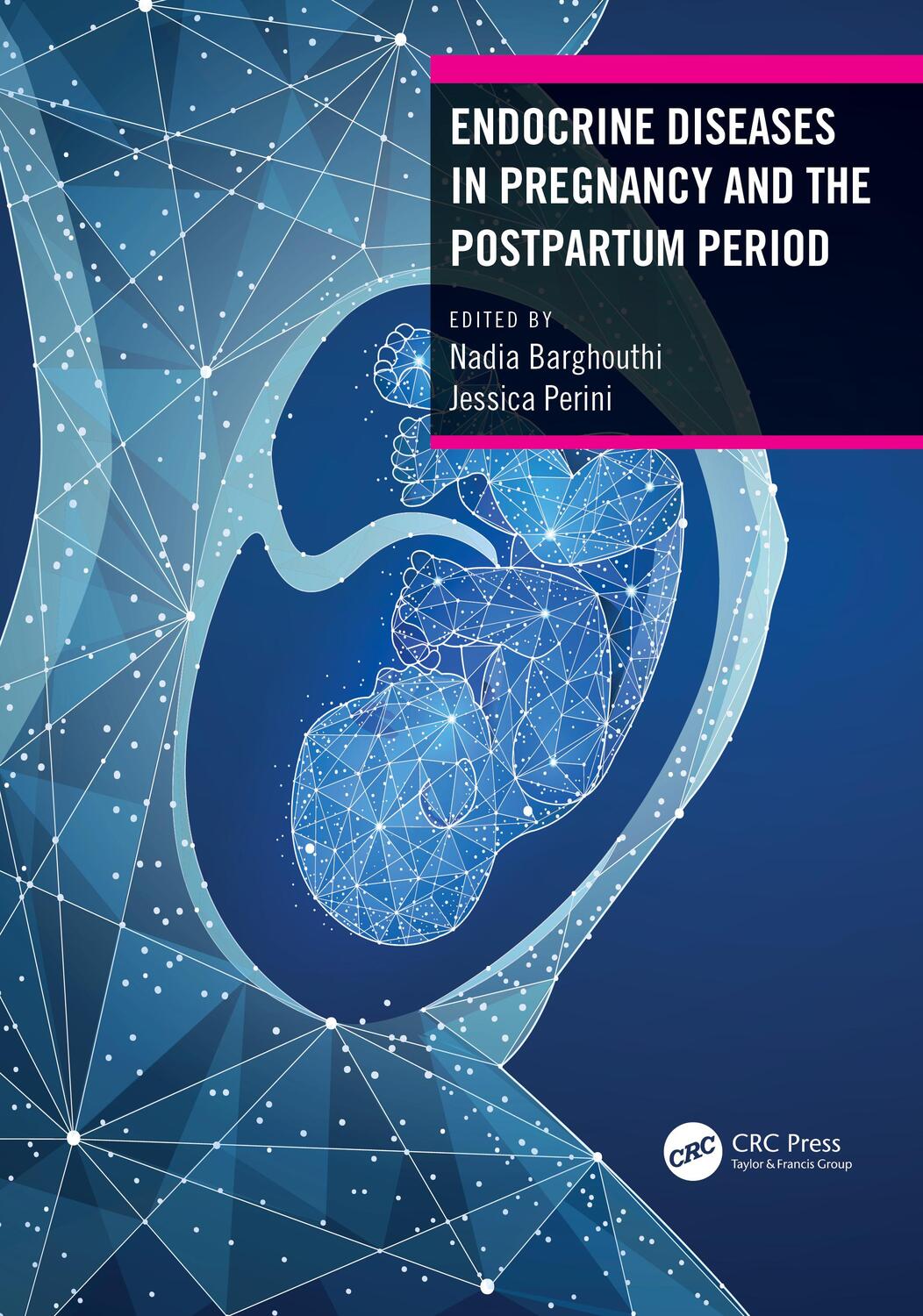Cover: 9780367462178 | Endocrine Diseases in Pregnancy and the Postpartum Period | Buch