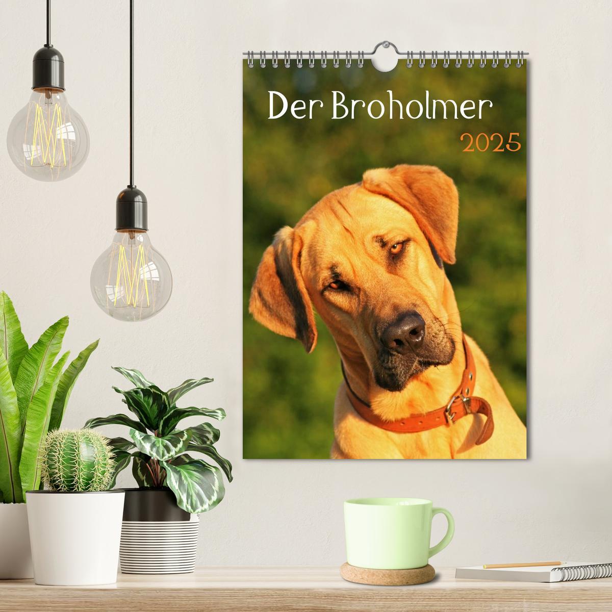 Bild: 9783457056653 | Der Broholmer (Wandkalender 2025 DIN A4 hoch), CALVENDO Monatskalender