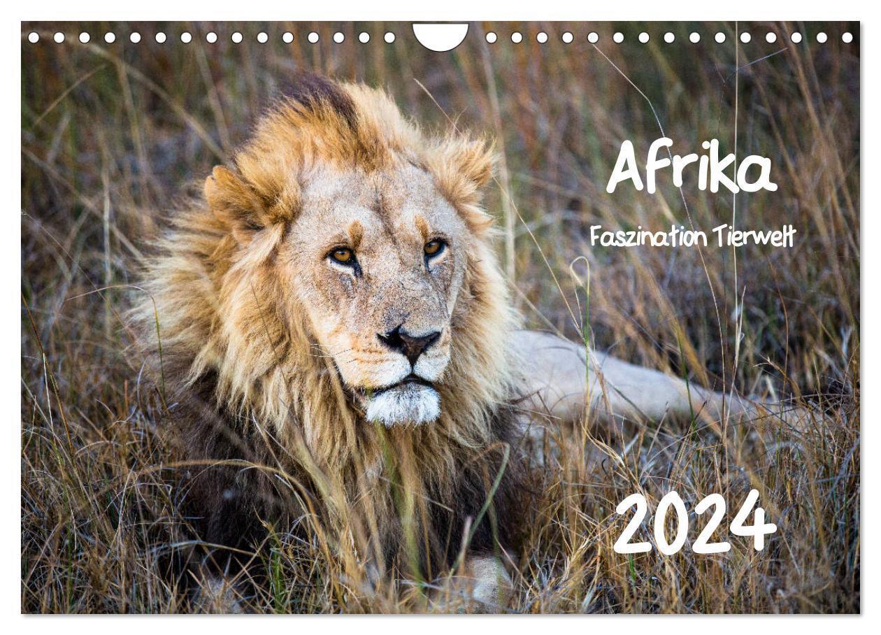 Cover: 9783383187933 | Afrika - Faszination Tierwelt (Wandkalender 2024 DIN A4 quer),...