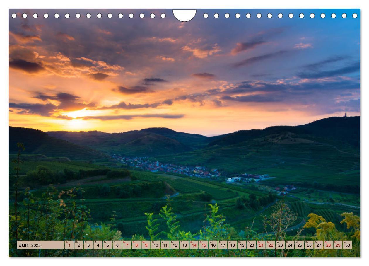 Bild: 9783435429257 | Kaiserstuhlblicke (Wandkalender 2025 DIN A4 quer), CALVENDO...