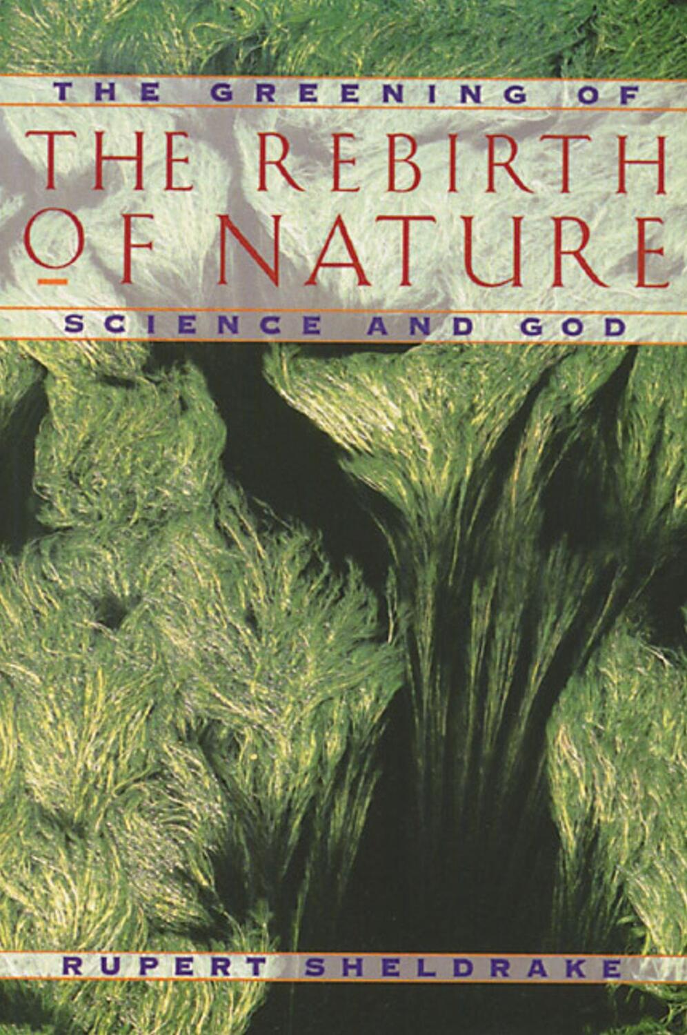 Cover: 9780892815104 | The Rebirth of Nature: The Greening of Science and God | Sheldrake