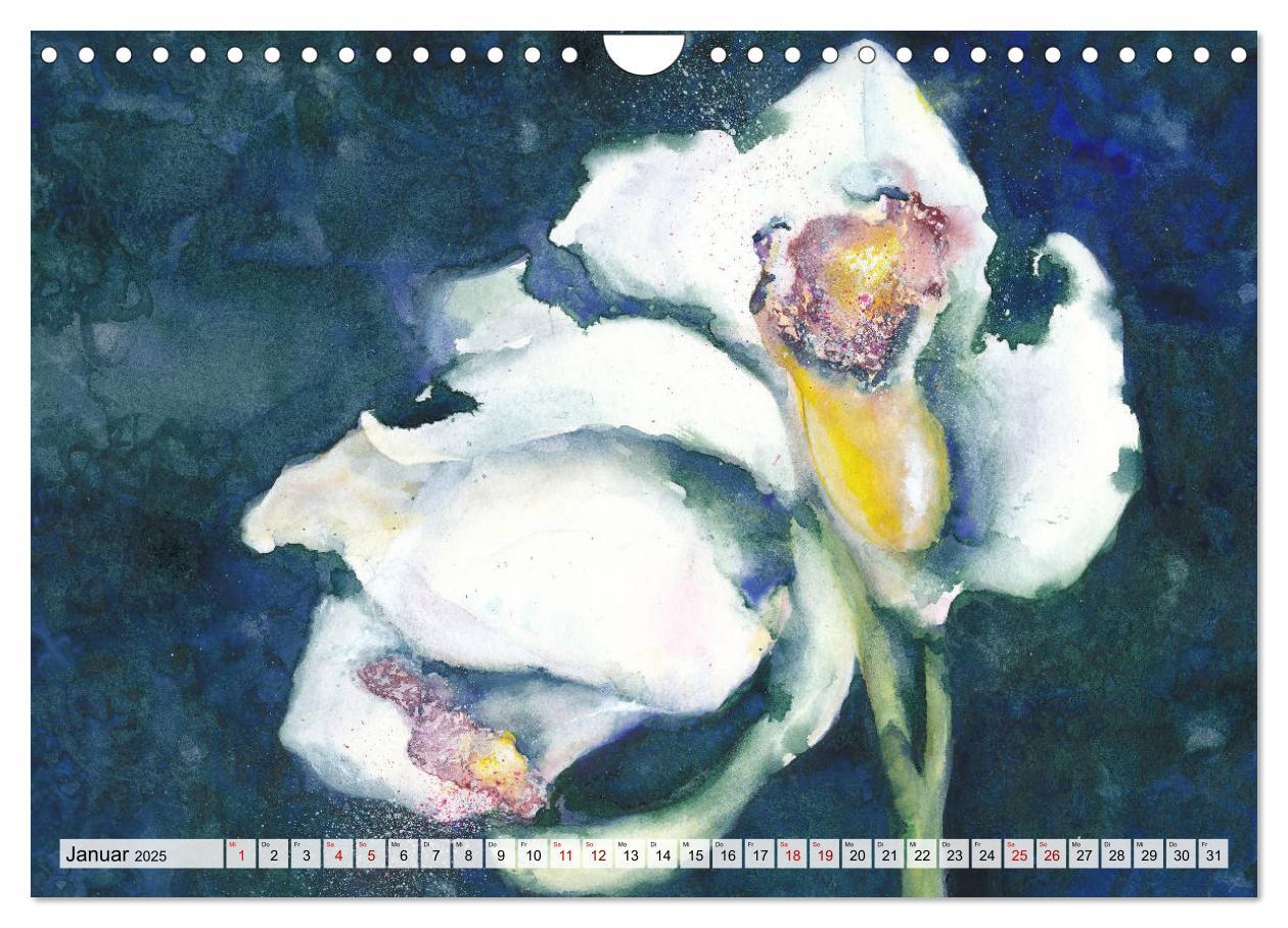 Bild: 9783435273423 | Blumenaquarelle aus der Nähe (Wandkalender 2025 DIN A4 quer),...