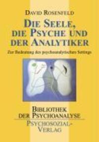 Cover: 9783898067546 | Die Seele, die Psyche und der Analytiker | David Rosenfeld | Buch