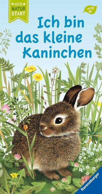 Cover: 9783473439812 | Ich bin das kleine Kaninchen | Gerlinde Wiencirz | Buch | Naturstart