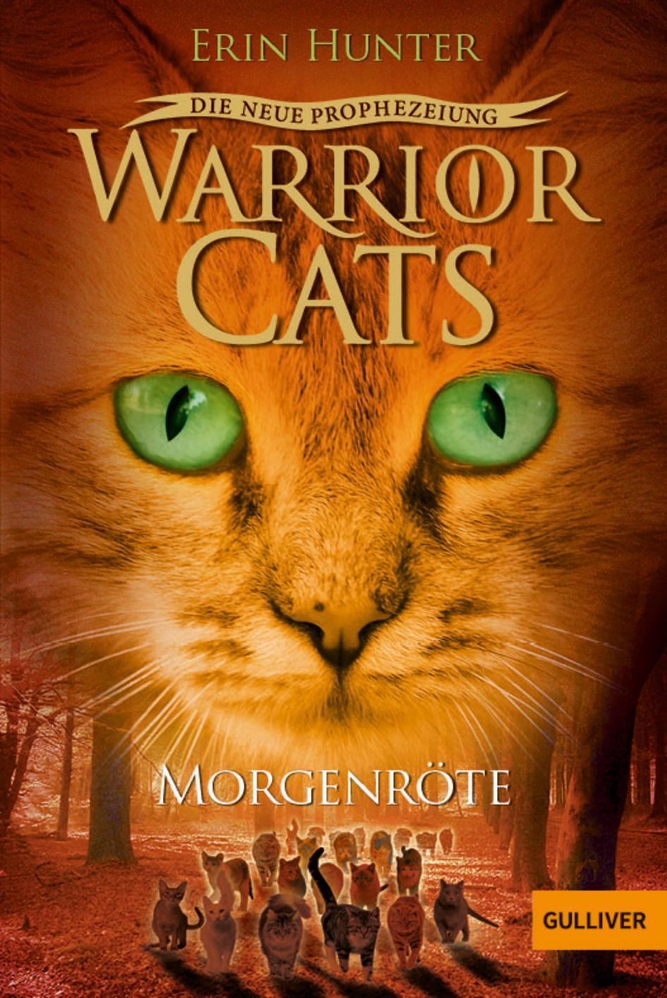 Cover: 9783407745484 | Warrior Cats Staffel 2/03. Die neue Prophezeiung. Morgenröte | Hunter