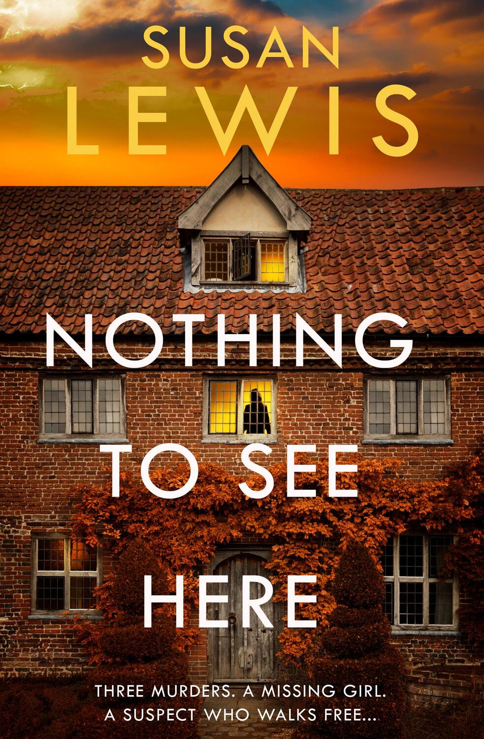 Cover: 9780008472016 | Nothing to See Here | Susan Lewis | Buch | Englisch | 2024