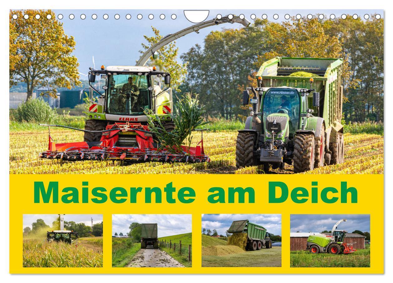 Cover: 9783435190997 | Maisernte am Deich (Wandkalender 2025 DIN A4 quer), CALVENDO...