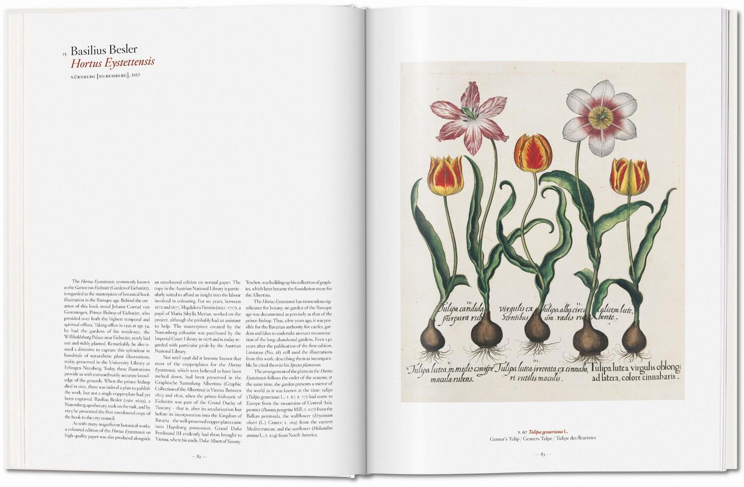 Bild: 9783836577397 | A Garden Eden. Masterpieces of Botanical Illustration | H. Walter Lack