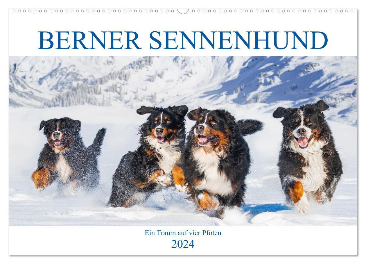 Cover: 9783675625389 | Berner Sennenhund - Ein Traum auf vier Pfoten (Wandkalender 2024...