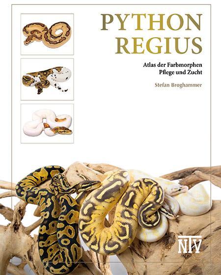 Cover: 9783866594036 | Python regius | Atlas der Farbmorphen | Stefan Broghammer | Buch
