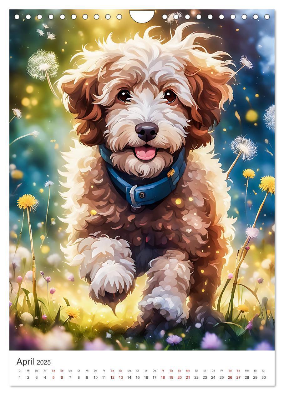 Bild: 9783383807046 | Der Aussiedoodle - Lebensfreude pur (Wandkalender 2025 DIN A4...