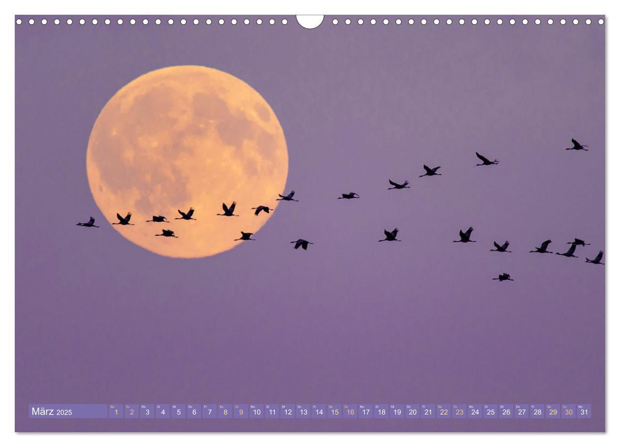 Bild: 9783435055920 | Vollmond: Wundersames Licht des Mondes (Wandkalender 2025 DIN A3...