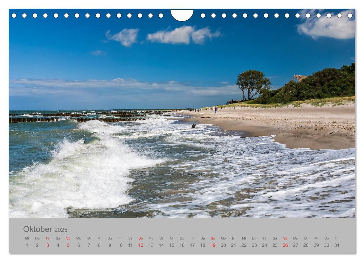 Bild: 9783435702312 | Ostsee, Fischland-Darß (Wandkalender 2025 DIN A4 quer), CALVENDO...