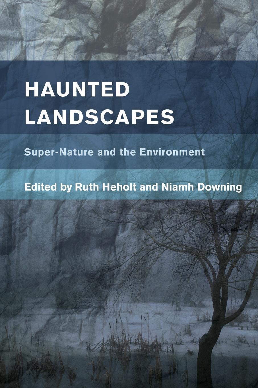 Cover: 9781783488827 | Haunted Landscapes | Super-Nature and the Environment | Ruth Heholt