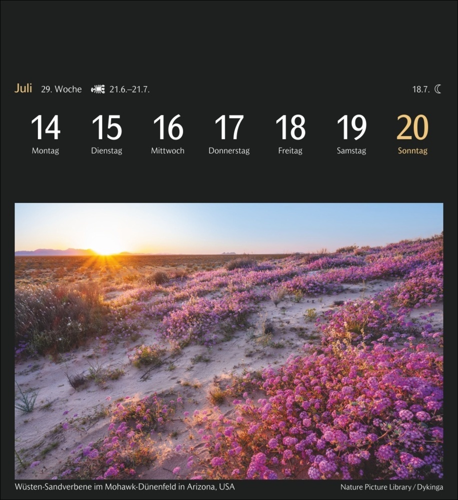 Bild: 9783840035111 | Magic Nature Postkartenkalender Kalender 2025 - Kalender mit 53...