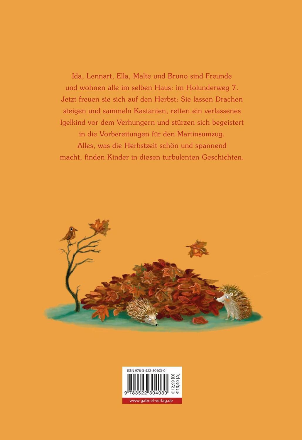 Rückseite: 9783522304030 | Herbst im Holunderweg | Vorlesegeschichten für jede Jahreszeit | Buch