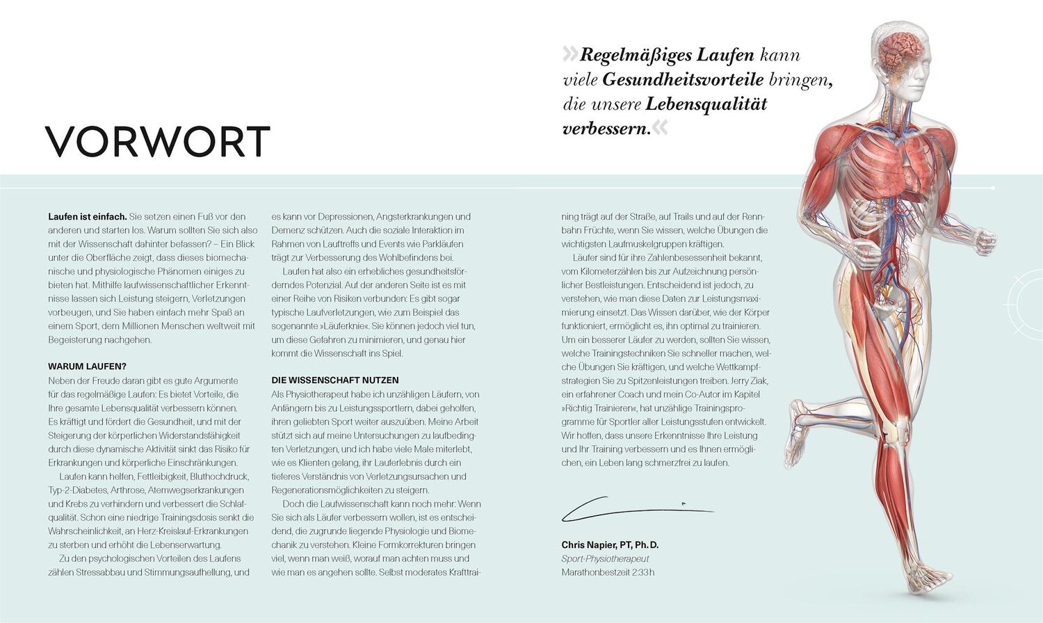 Bild: 9783831040155 | Lauftraining - Die Anatomie verstehen | Chris Napier | Taschenbuch