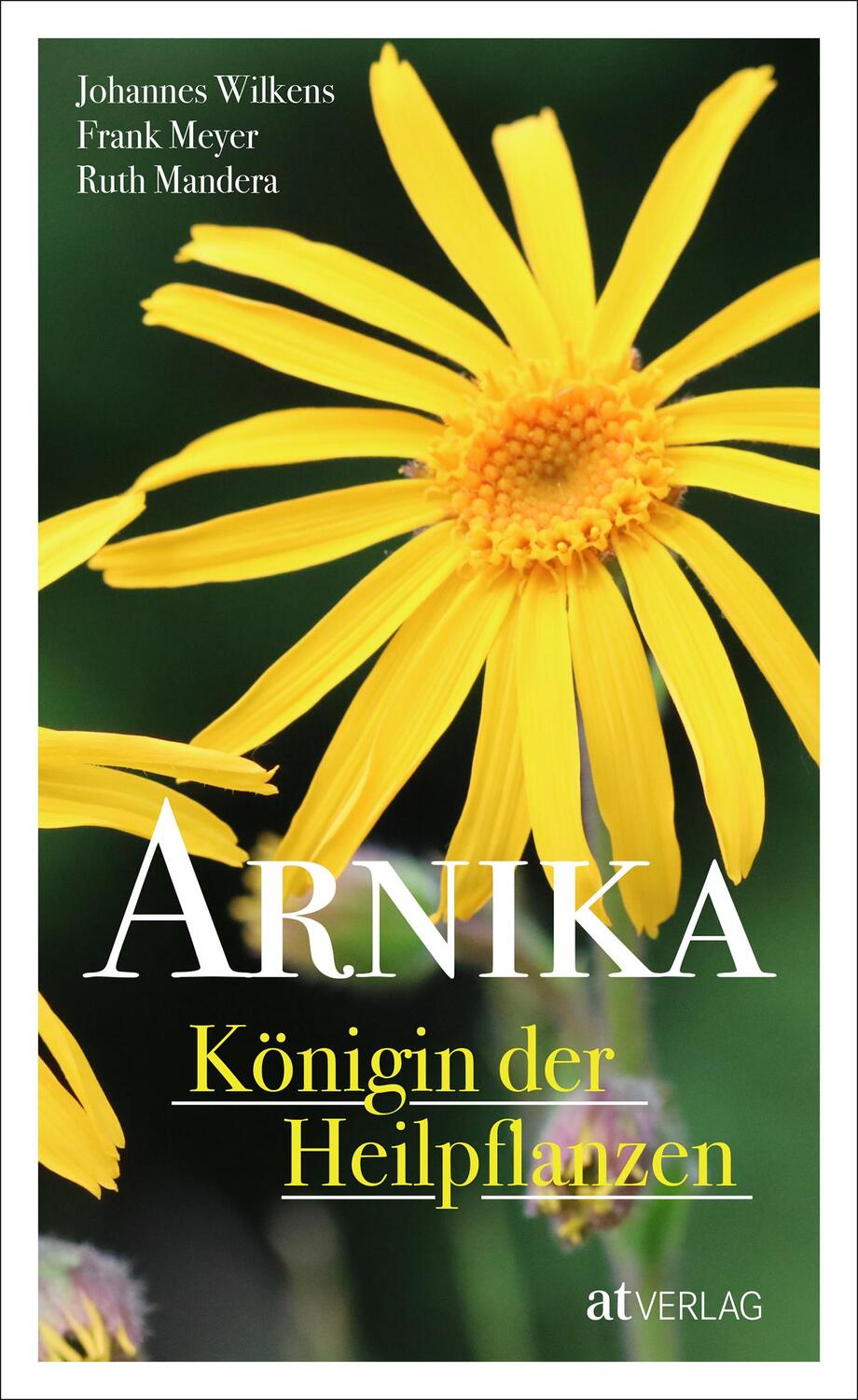 Cover: 9783038000815 | Arnika - Königin der Heilpflanzen | Johannes Wilkens (u. a.) | Buch
