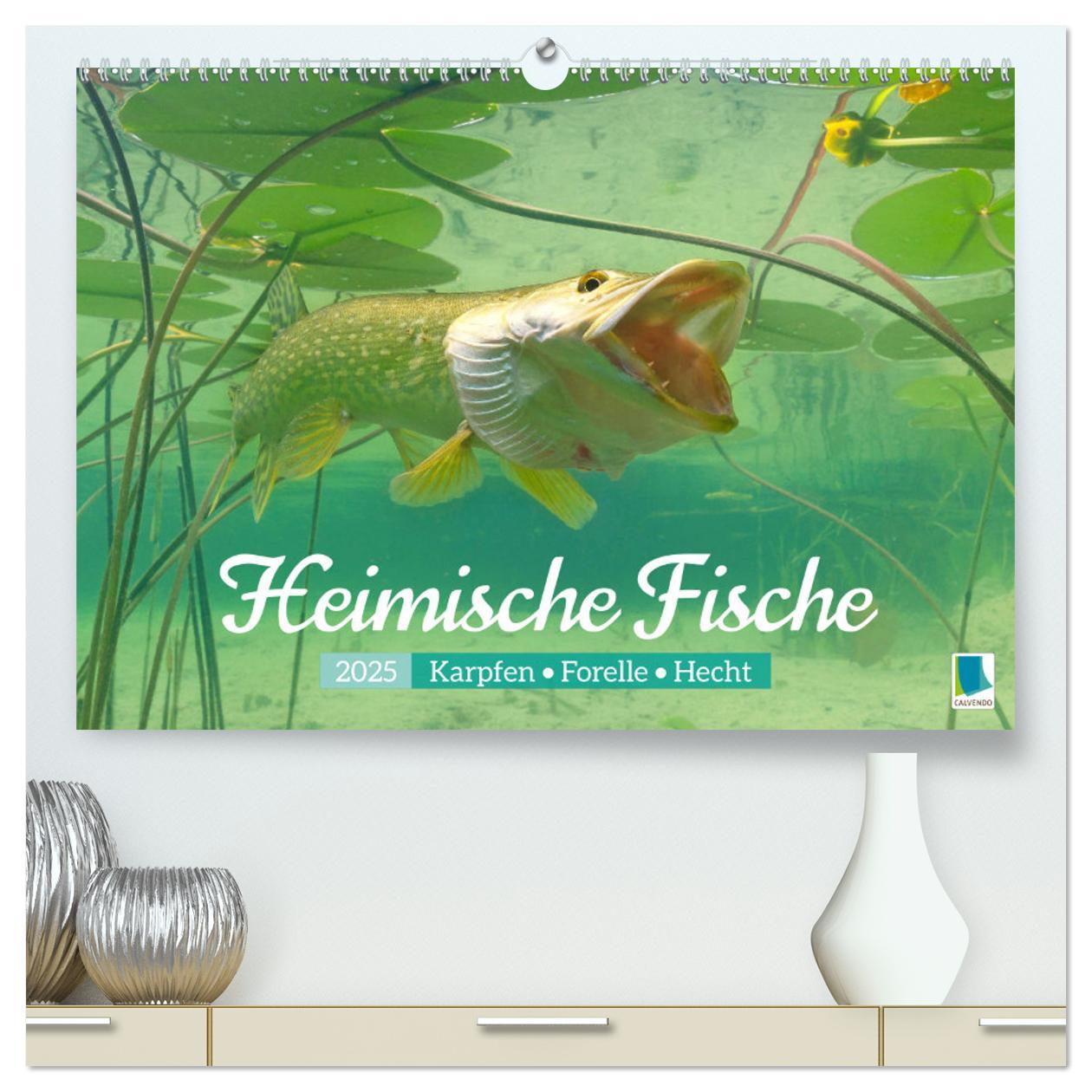 Cover: 9783457180570 | Heimische Fische: Karpfen, Forelle, Hecht (hochwertiger Premium...