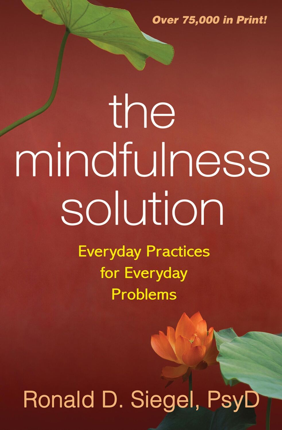 Cover: 9781606232941 | The Mindfulness Solution | Everyday Practices for Everyday Problems