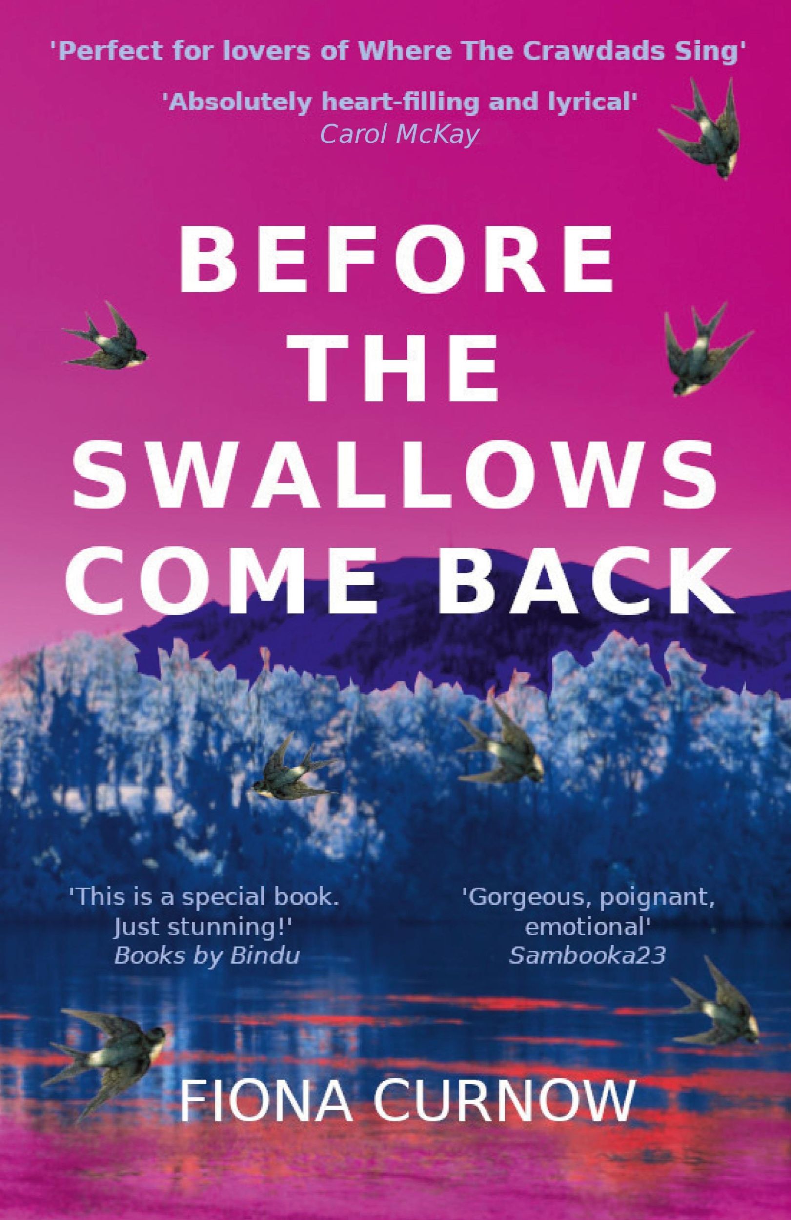 Cover: 9780995531499 | Before the Swallows Come Back | Fiona Curnow | Taschenbuch | Englisch