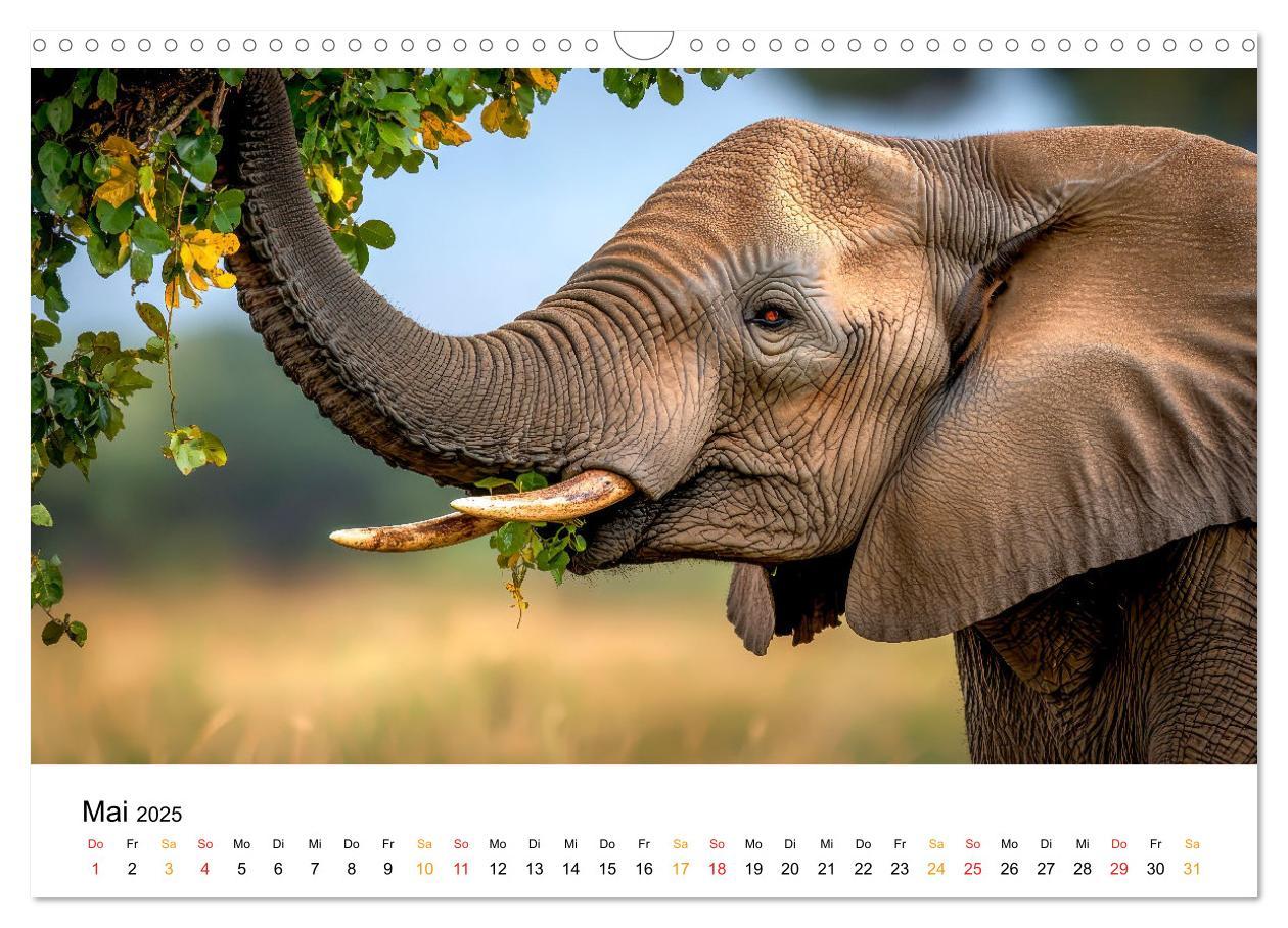 Bild: 9783457240472 | Elefanten - Riesen der Wildnis (Wandkalender 2025 DIN A3 quer),...