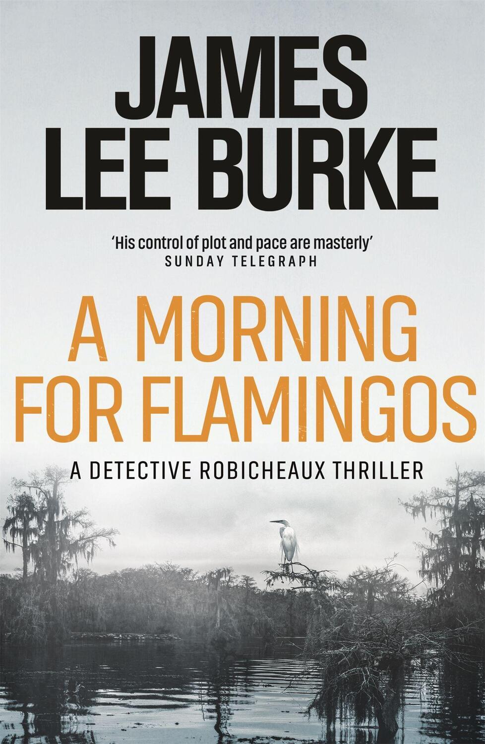 Cover: 9781409155942 | A Morning For Flamingos | James Lee Burke | Taschenbuch | Englisch