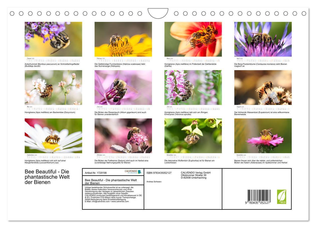 Bild: 9783435052127 | Bee Beautiful - Die phantastische Welt der Bienen (Wandkalender...