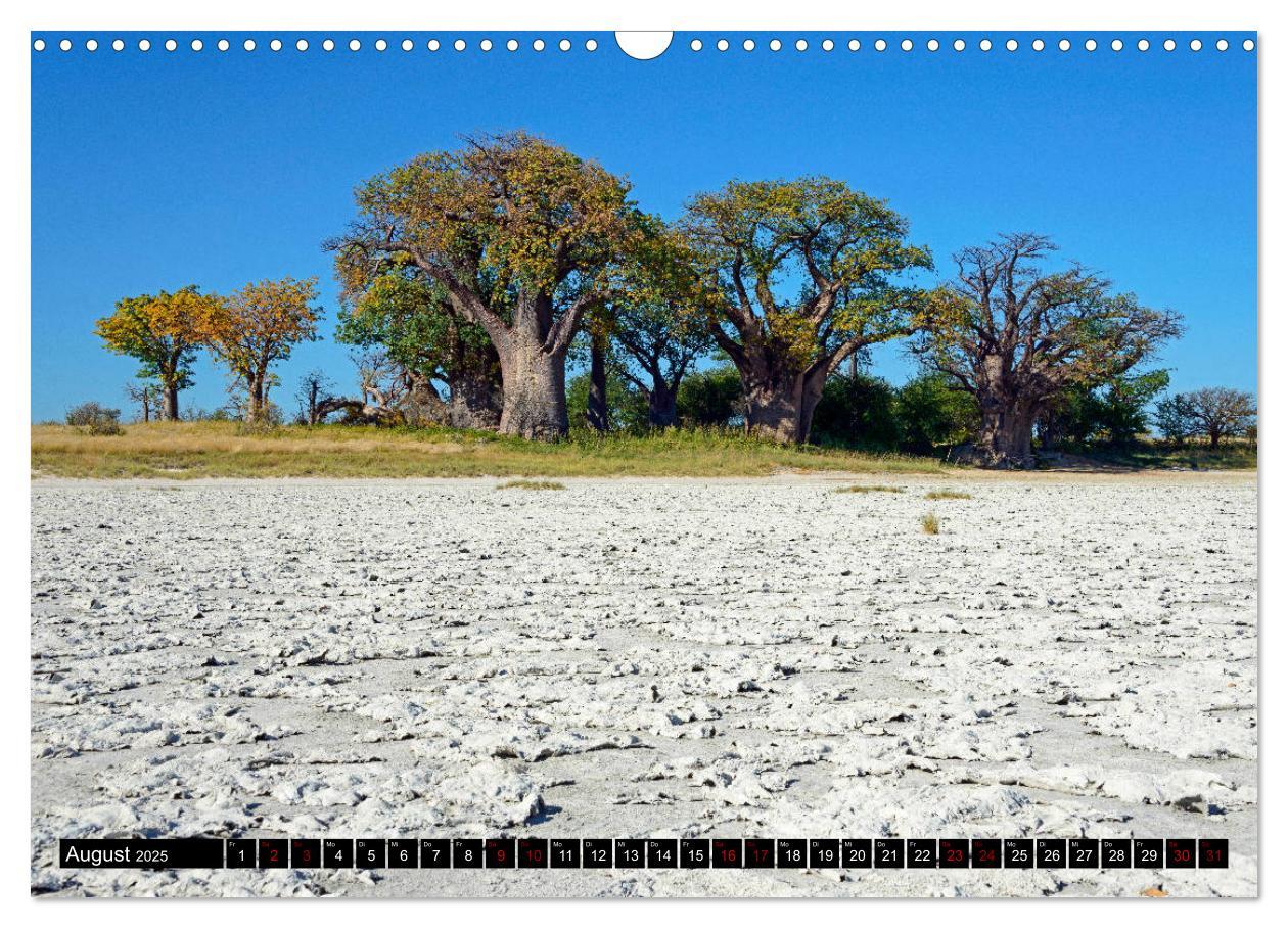 Bild: 9783435452125 | Faszination Botswana (Wandkalender 2025 DIN A3 quer), CALVENDO...