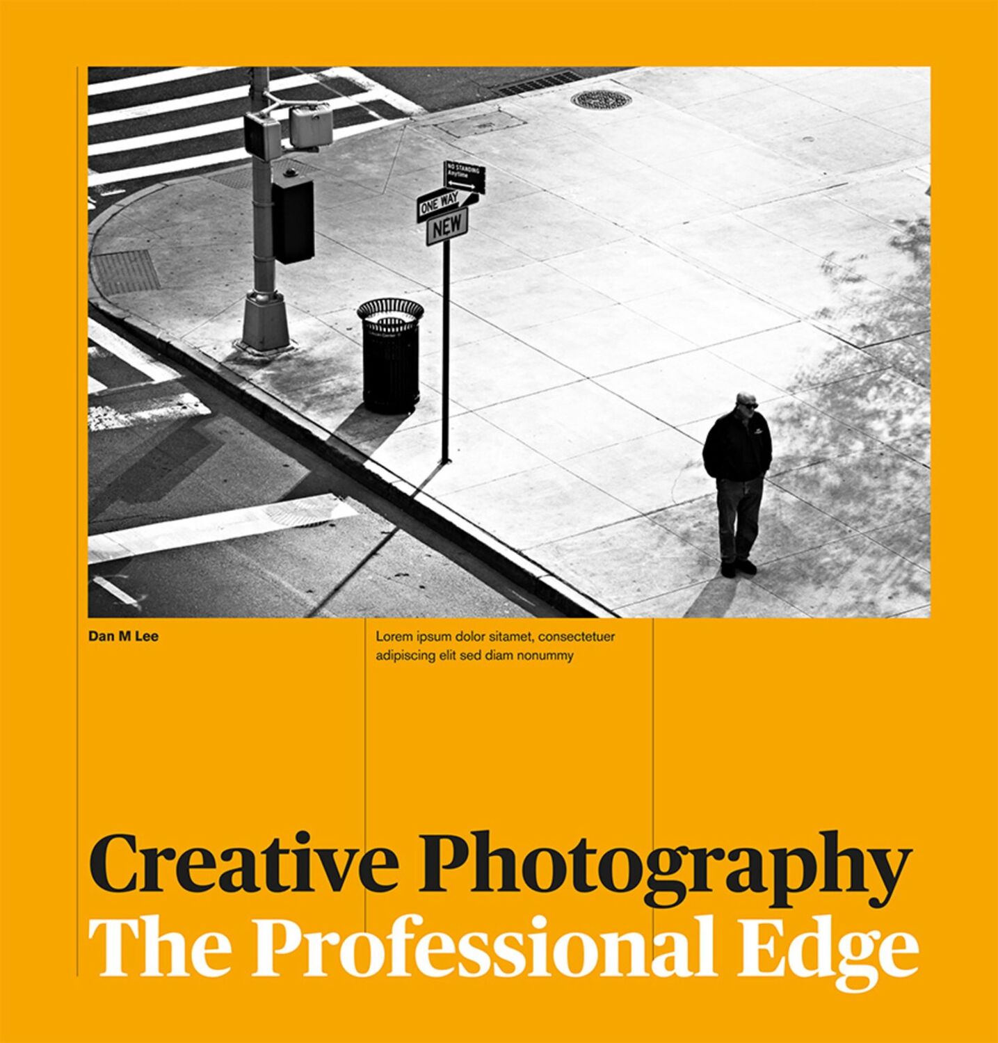 Cover: 9781781575925 | Creative Photography | The Professional Edge | Dan M Lee (u. a.)