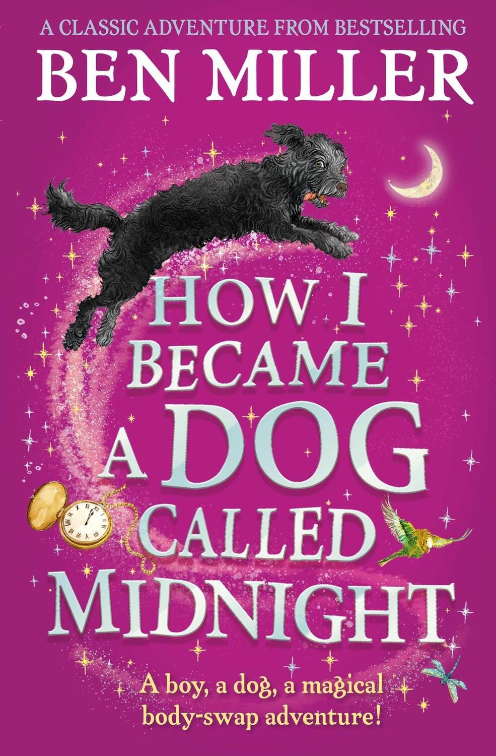 Cover: 9781471192463 | How I Became a Dog Called Midnight | Ben Miller | Taschenbuch | 2022