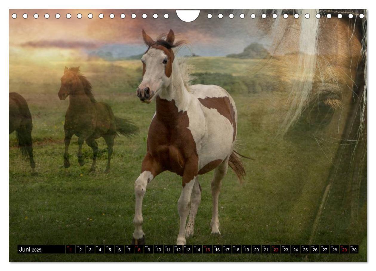 Bild: 9783435490431 | Western und Pferde (Wandkalender 2025 DIN A4 quer), CALVENDO...