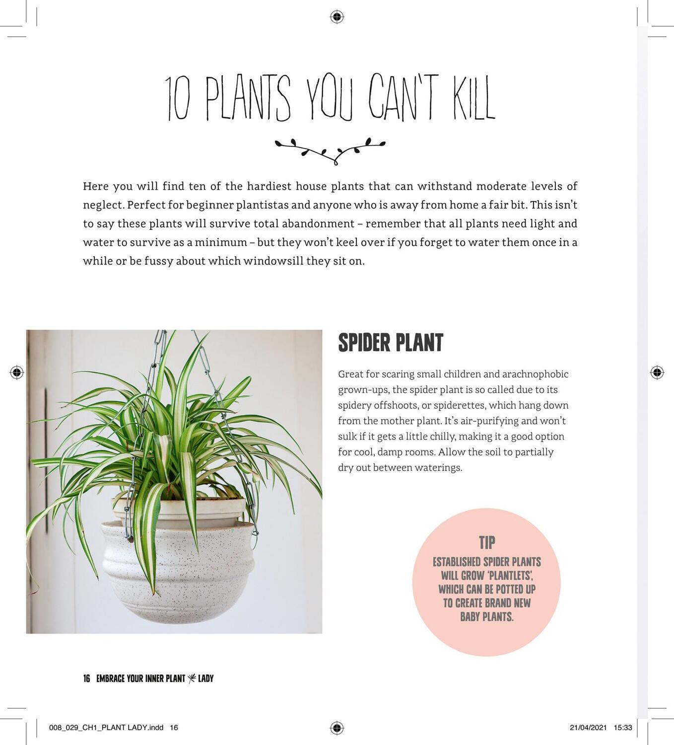 Bild: 9780008454968 | Plant Lady | Emma Bastow | Buch | Gebunden | Englisch | 2022
