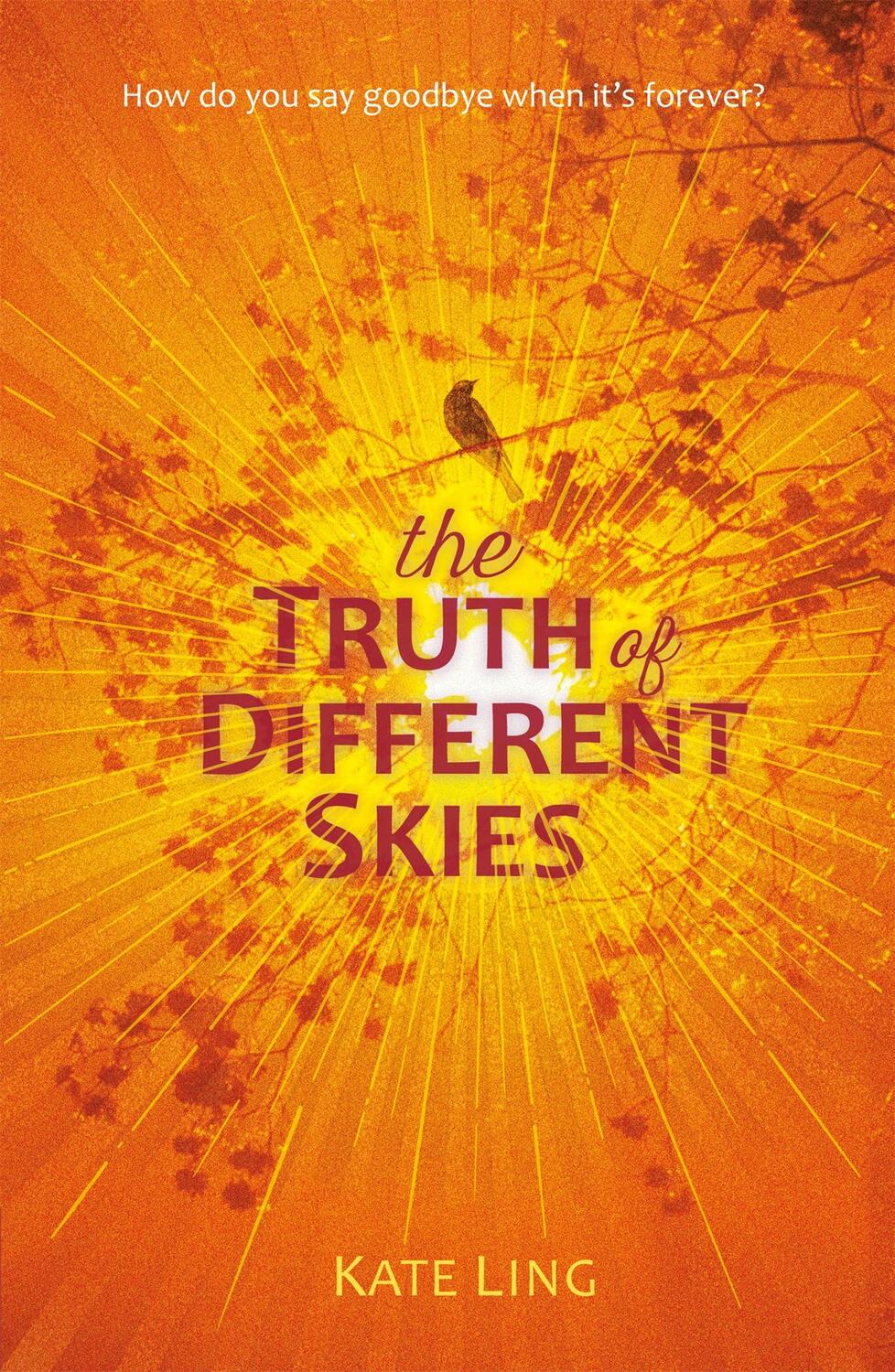 Cover: 9781510200203 | Ventura Saga: The Truth of Different Skies | Book 3 | Kate Ling | Buch