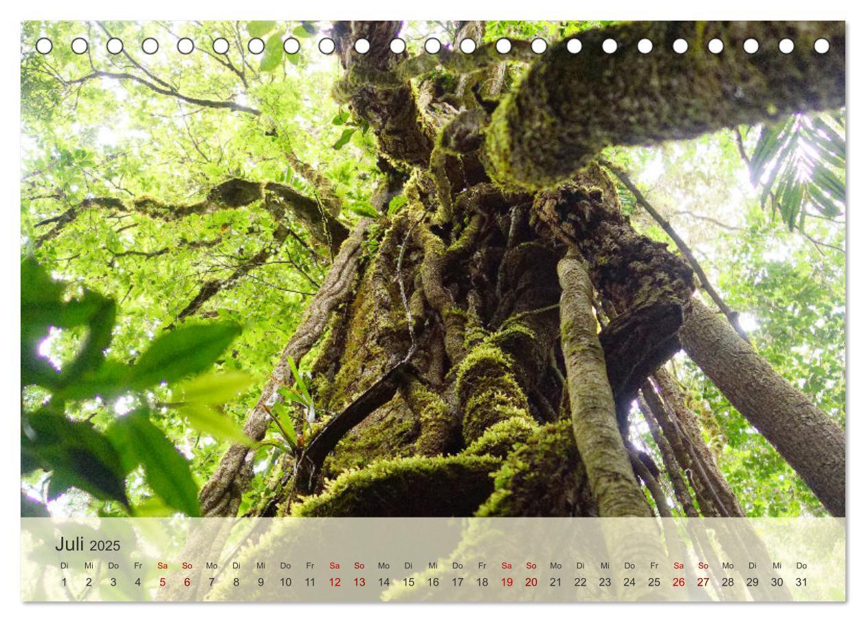 Bild: 9783383842764 | Bekanntes und Unbekanntes Costa Rica (Tischkalender 2025 DIN A5...