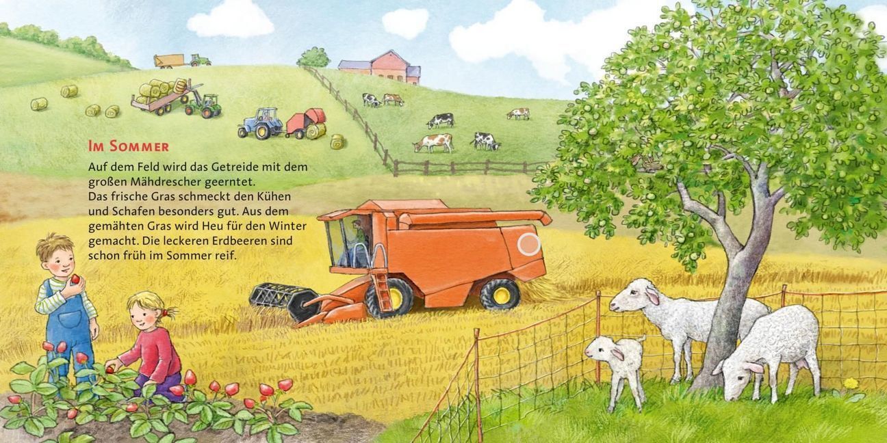 Bild: 9783551252029 | Hör mal (Soundbuch): Das Jahr auf dem Bauernhof | Anne Möller | Buch