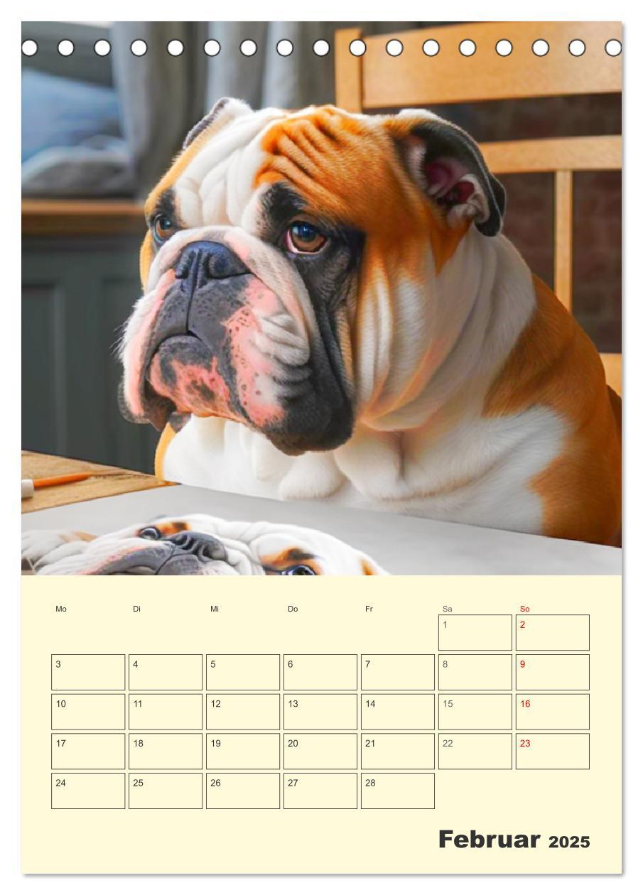 Bild: 9783435876600 | English Bulldogs. Fröhliche Dickköpfe mit Charakter (Tischkalender...