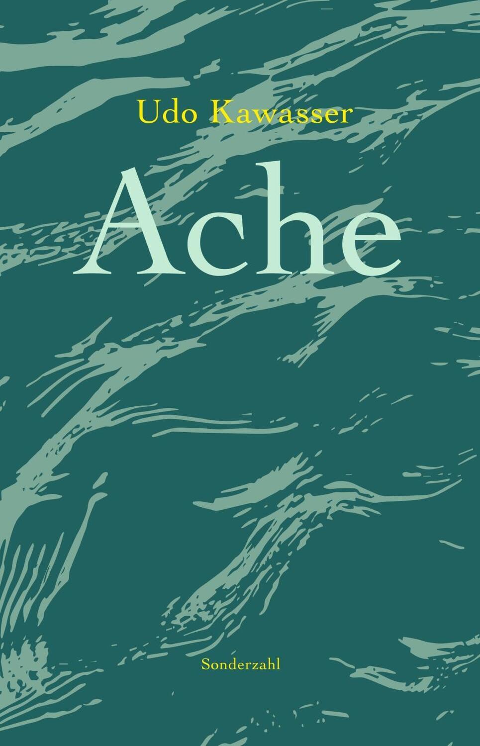 Cover: 9783854494942 | Ache | Udo Kawasser | Kartoniert / Broschiert | Deutsch | 2018