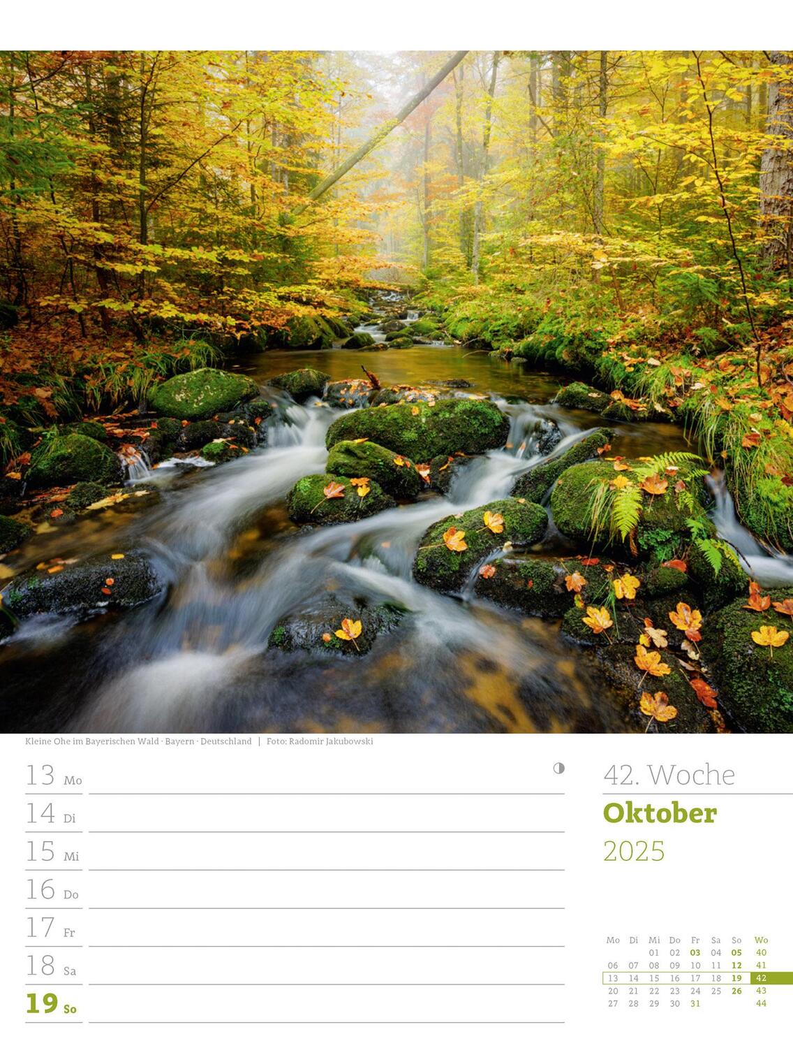 Bild: 9783838425979 | Unser Wald - Wochenplaner Kalender 2025 | Ackermann Kunstverlag | 2025
