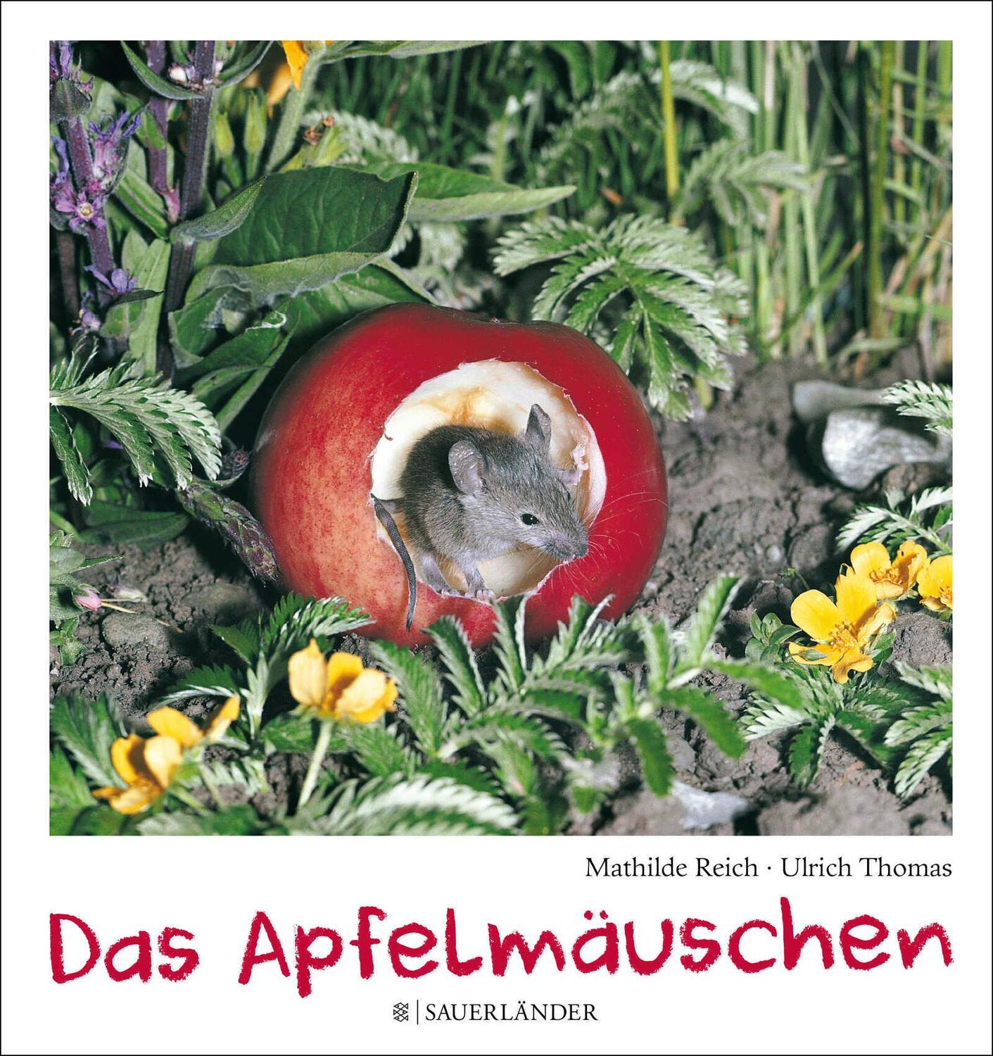 Cover: 9783737364003 | Das Apfelmäuschen | (Mini-Ausgabe) | Mathilde Reich | Buch | 40 S.