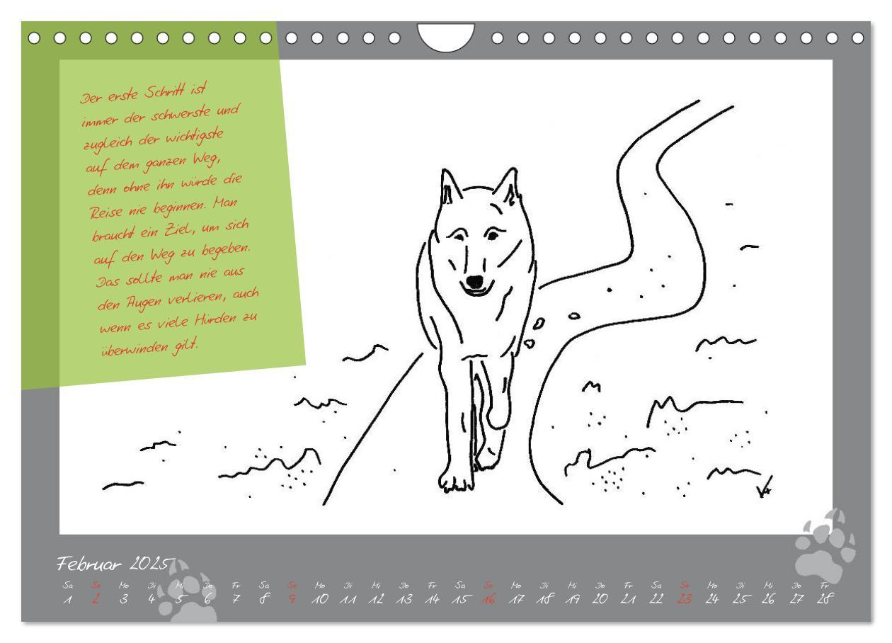 Bild: 9783435726660 | Der kleine GROSSE Wolf - Kalender (Wandkalender 2025 DIN A4 quer),...