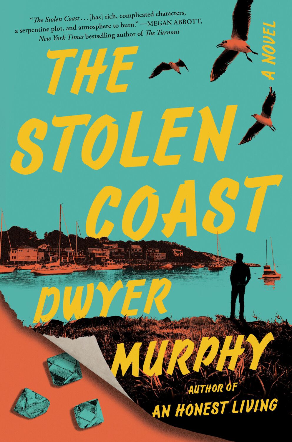 Cover: 9780593653678 | The Stolen Coast | Dwyer Murphy | Buch | Einband - fest (Hardcover)